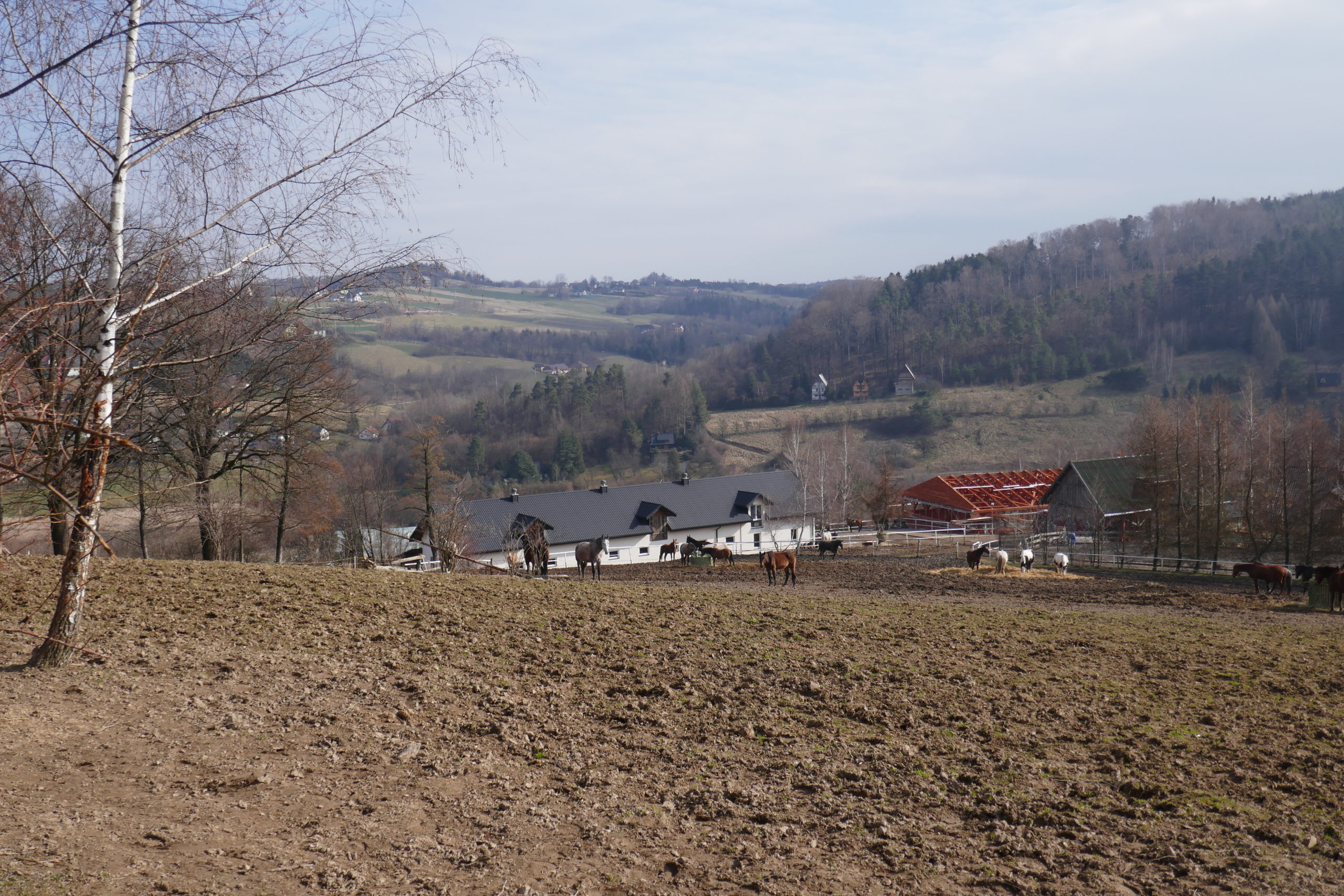 P1090140